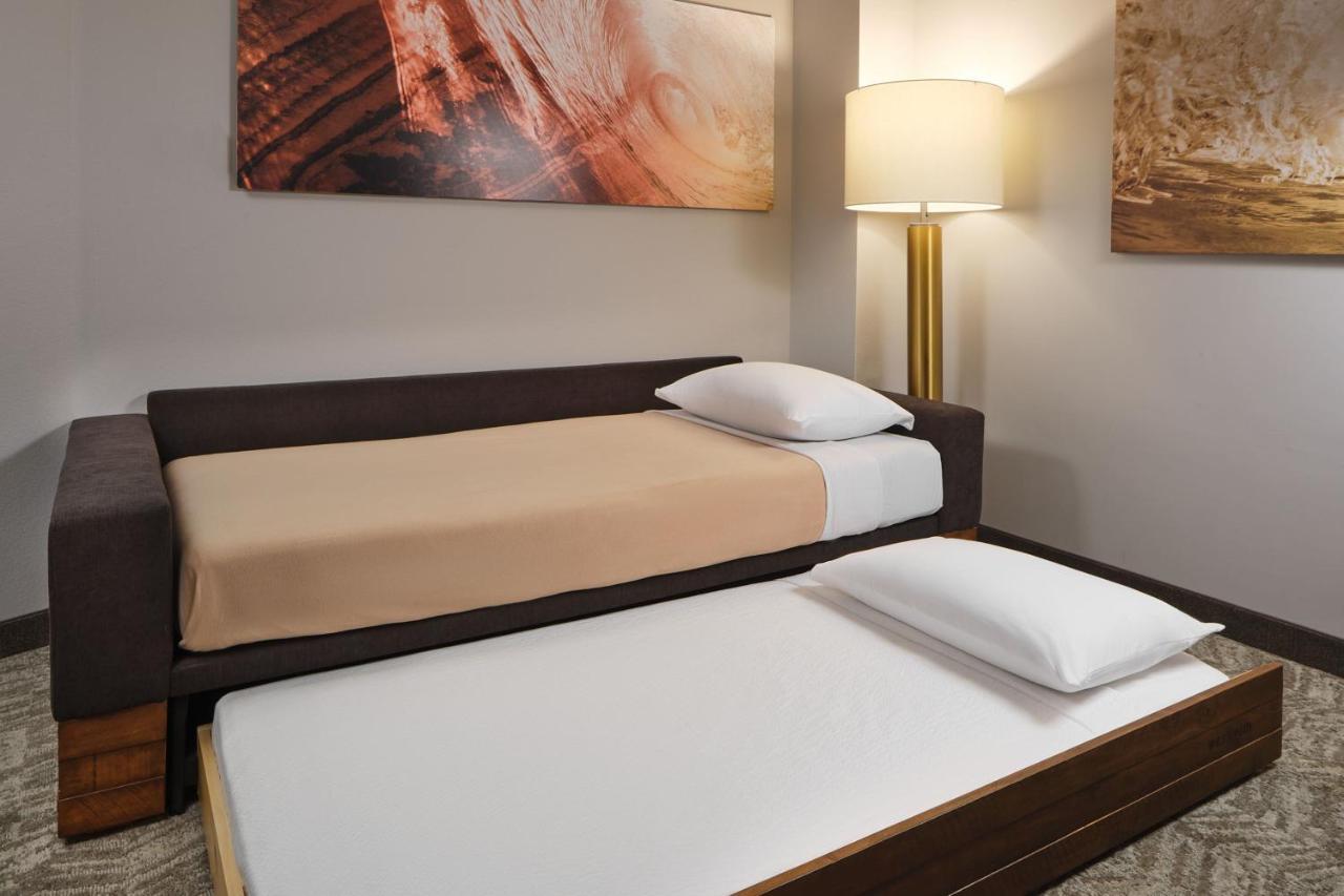 Springhill Suites By Marriott Jacksonville Baymeadows エクステリア 写真